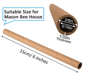 AukBeeFun outdoor garden bees; promotes pollination and natural garden harmony.