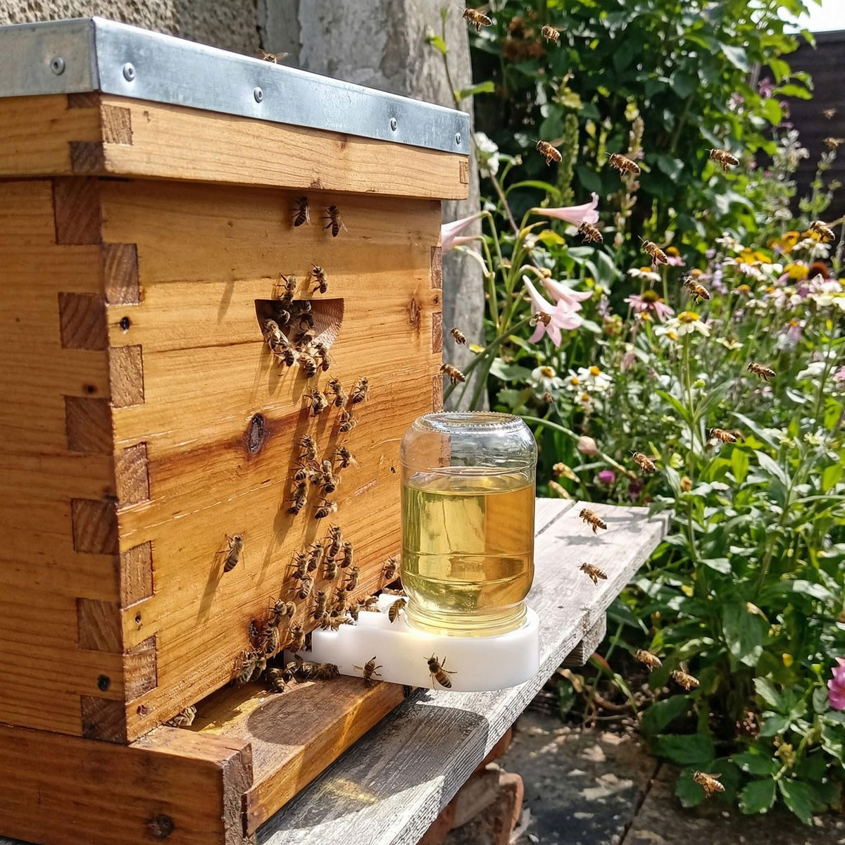AukBeeFun vacuum-seal cap prevents drips, keeping the hive floor clean