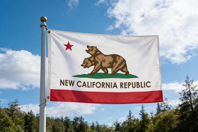 AUKUTOCO NCR flag outdoors on a pole demonstrates durable color against wind