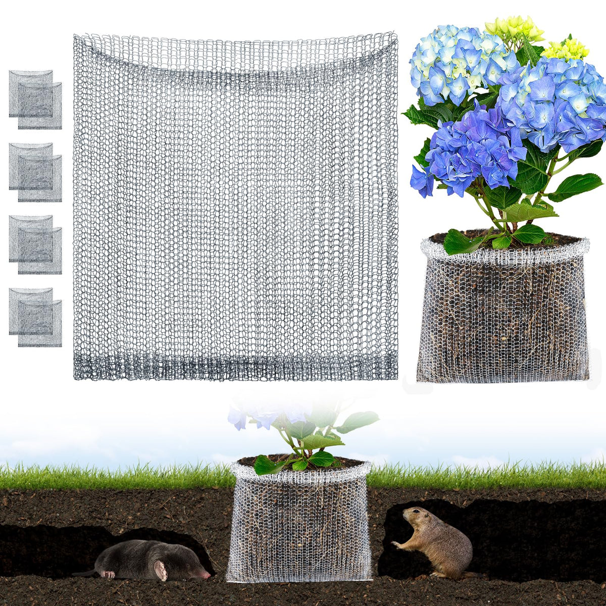 Aulock 5gal guard basket setup protects plant roots from burrowing pests.