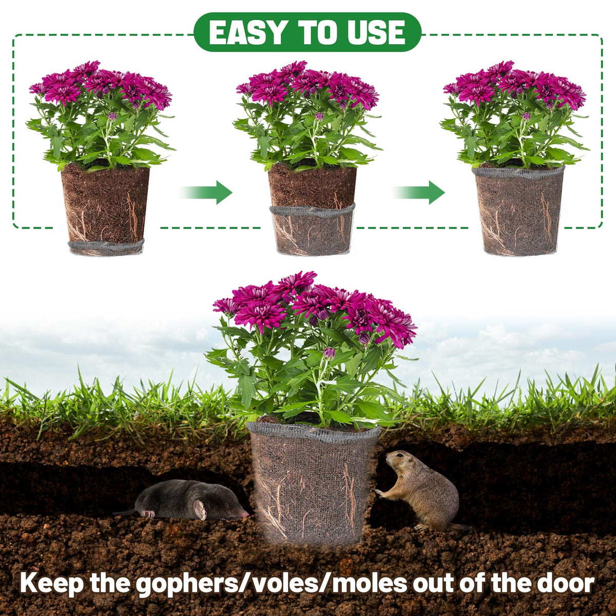 Aulock 6-pack garden root protectors provide reusable protection for years.