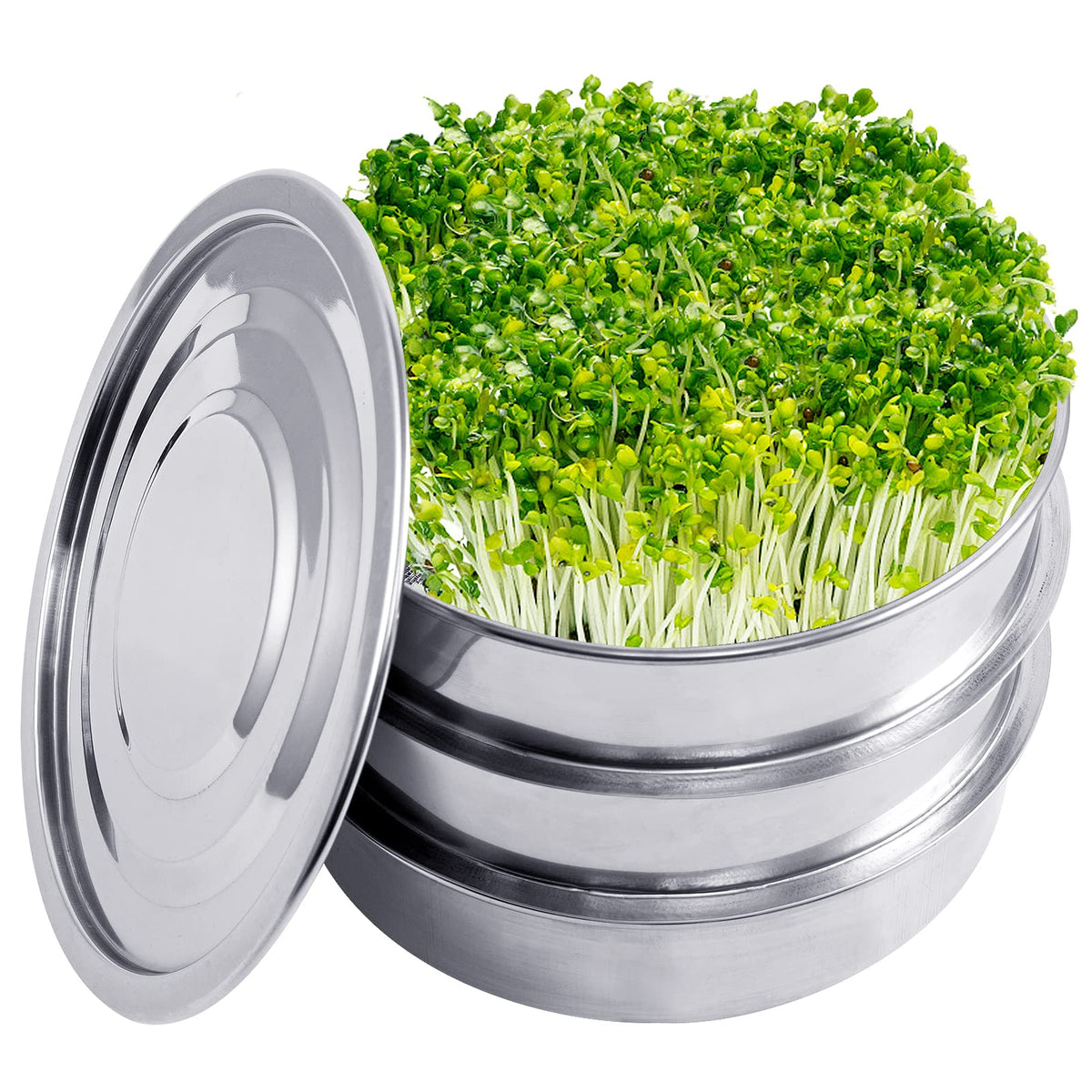 Aulock base with durable stainless steel frame for home sprouting
