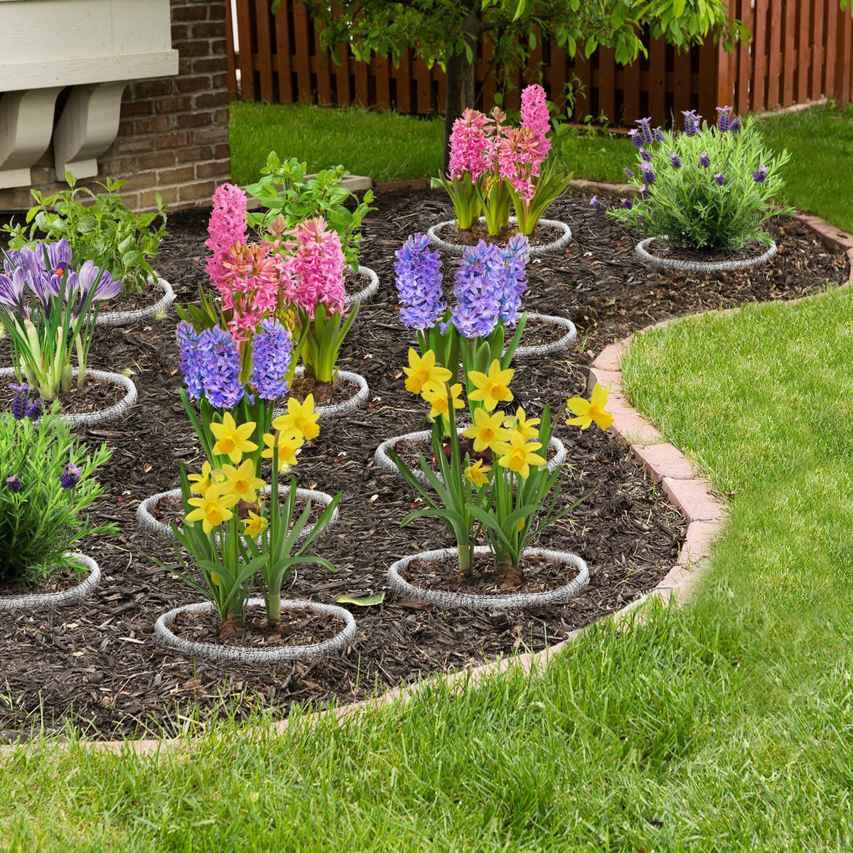 Aulock garden scene with protected plants using root guard baskets.