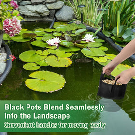 Aulock grow bags with handles show easy transport and placement around ponds.