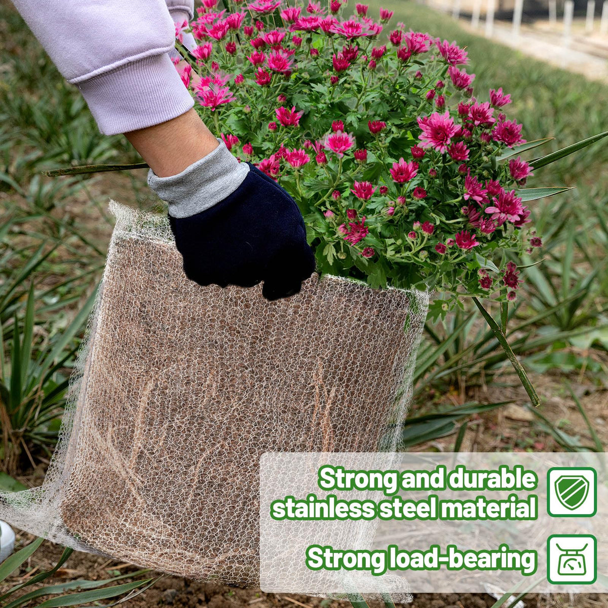 Aulock guard basket mesh closeup shows dense weave for root protection.