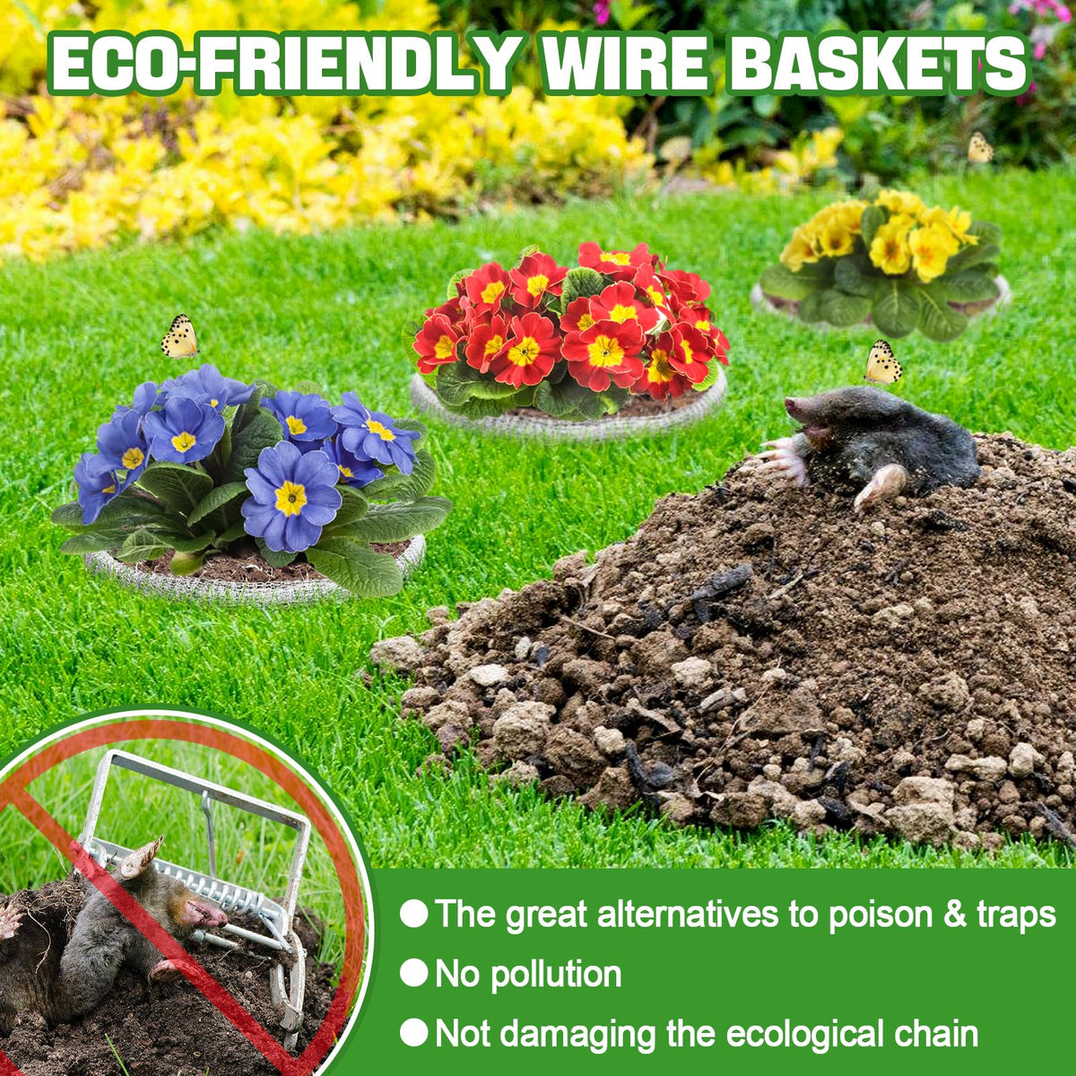 Aulock guard basket unfolded and ready to shield plant roots.