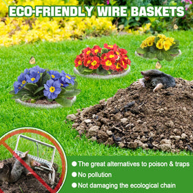 Aulock guard basket unfolded and ready to shield plant roots.