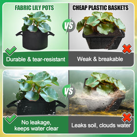 Aulock pond grow bag with handles, easy to place and move among lilies.