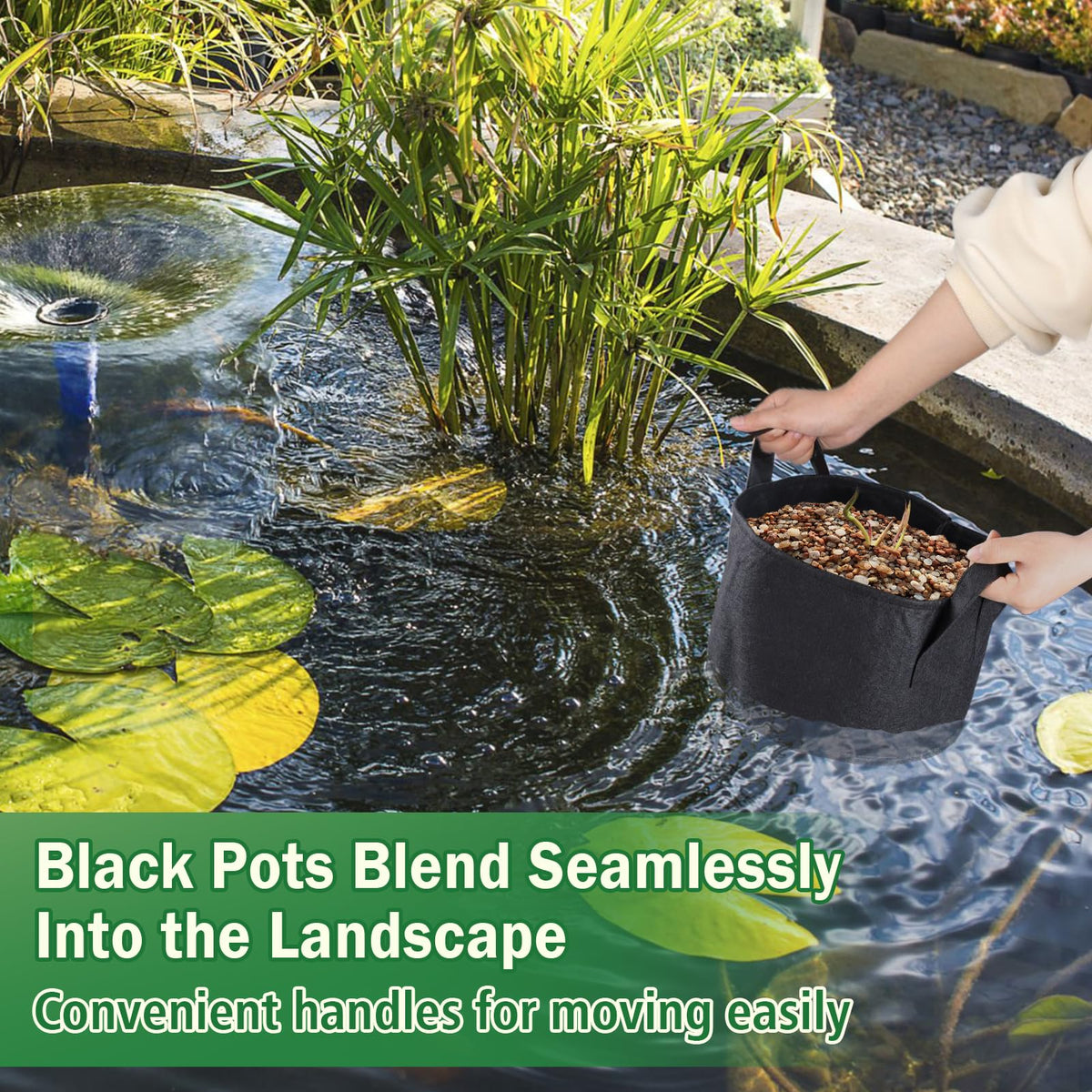 Aulock 8-inch tall pond bag supports healthy root growth.