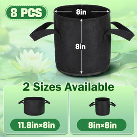 Aulock pots support water lilies and lotus in vibrant pond arrangements.