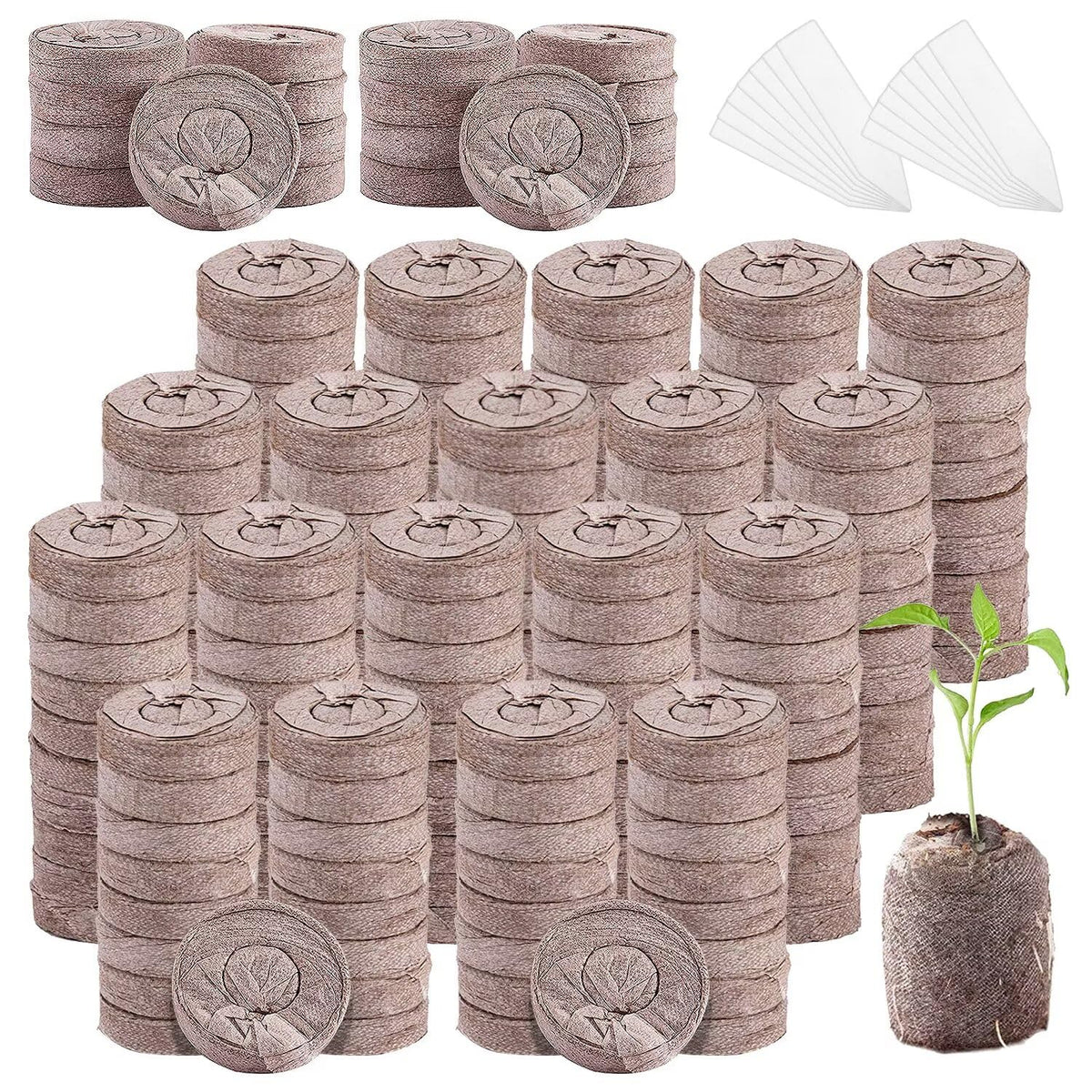 Aulock peat pellets 30mm seedling blocks ready to soak for indoor germination