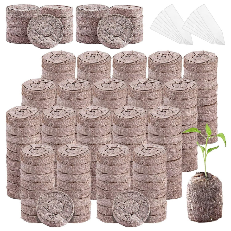 Aulock peat pellets 30mm seedling blocks ready to soak for indoor germination
