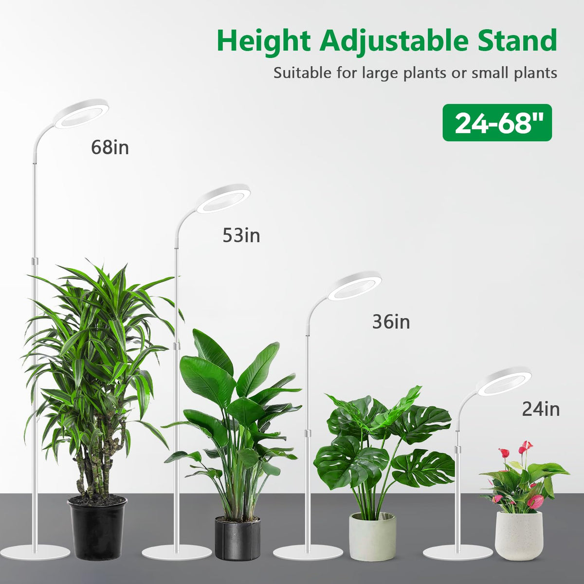 Tall indoor plant thrives under Aumtrly lamp with adjustable height range.