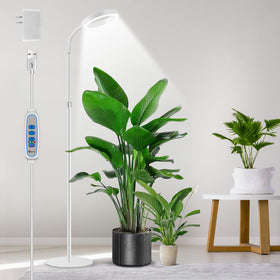 Aumtrly floor grow light with extended stand helps tall indoor plants reach full height.