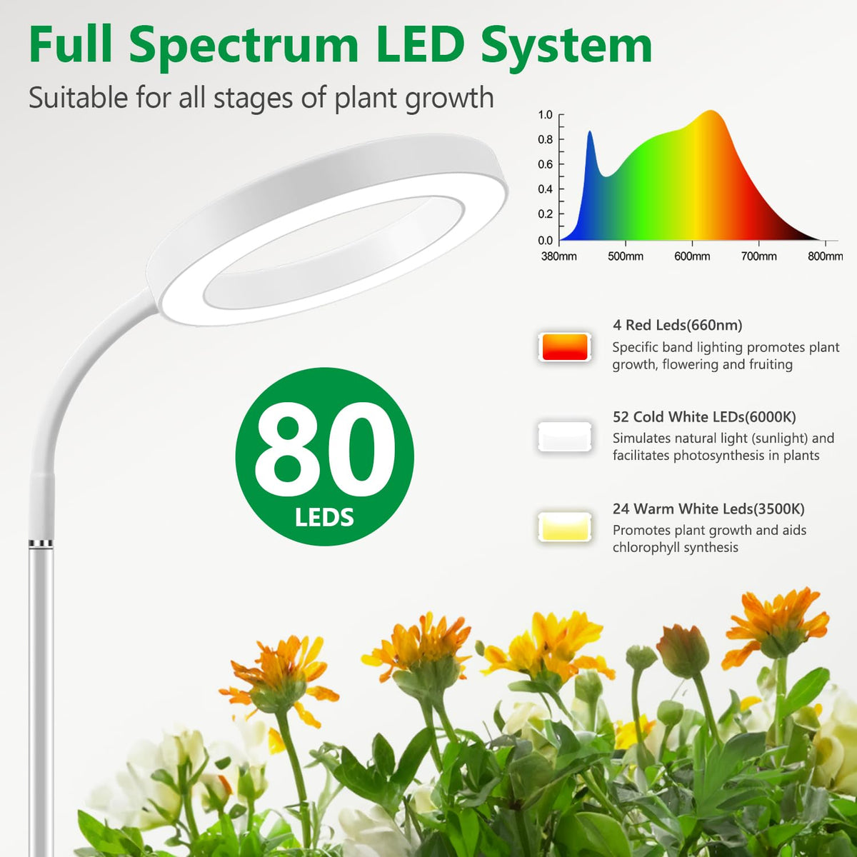 Aumtrly timer dial set for 16-hour cycles supports uninterrupted plant lighting.
