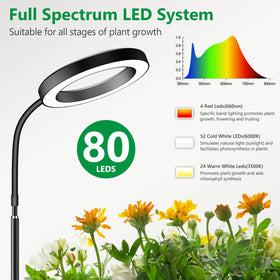 Aumtrly Grow Lights 16-hour timer for consistent daily cycles