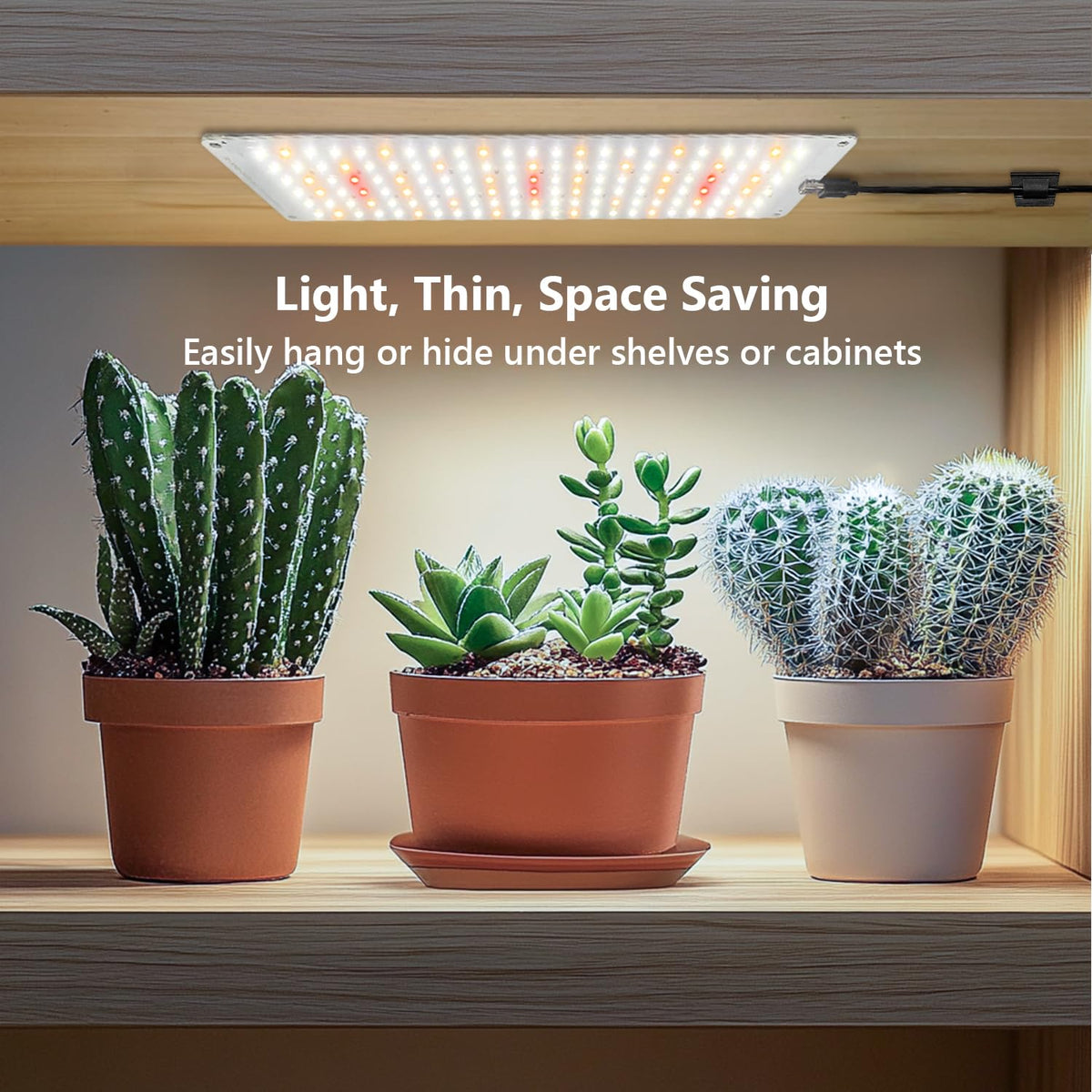 Aumtrly 16-hour timer ensures consistent daily lighting cycles.
