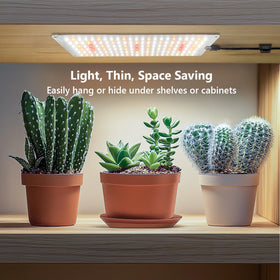 Aumtrly 16-hour timer ensures consistent daily lighting cycles.