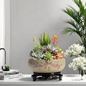 Aunosit Water Lily Pot ideal for hydroponic plants and water garden displays.