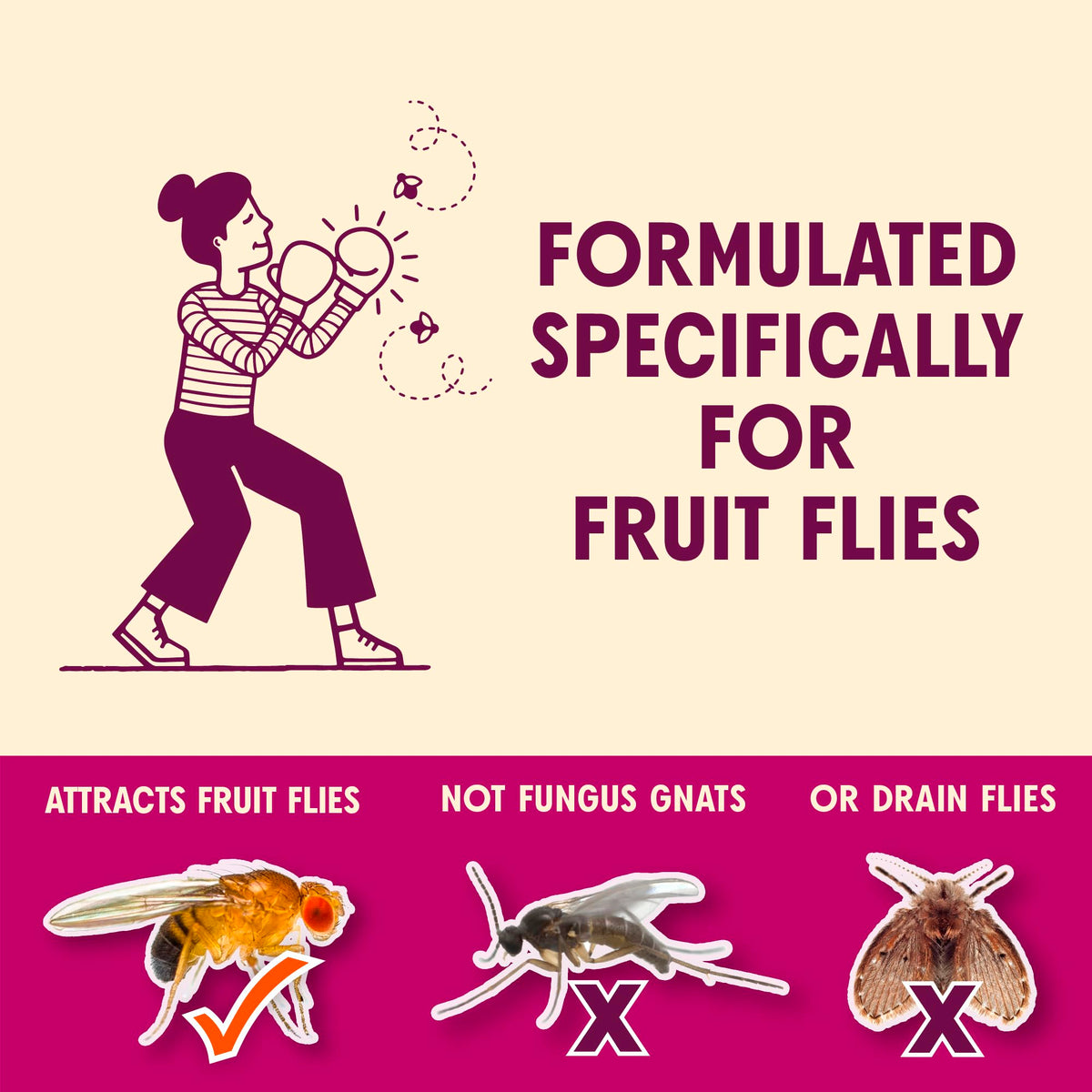 Aunt Fannie's FlyPunch bottle highlighting a plant-based formula