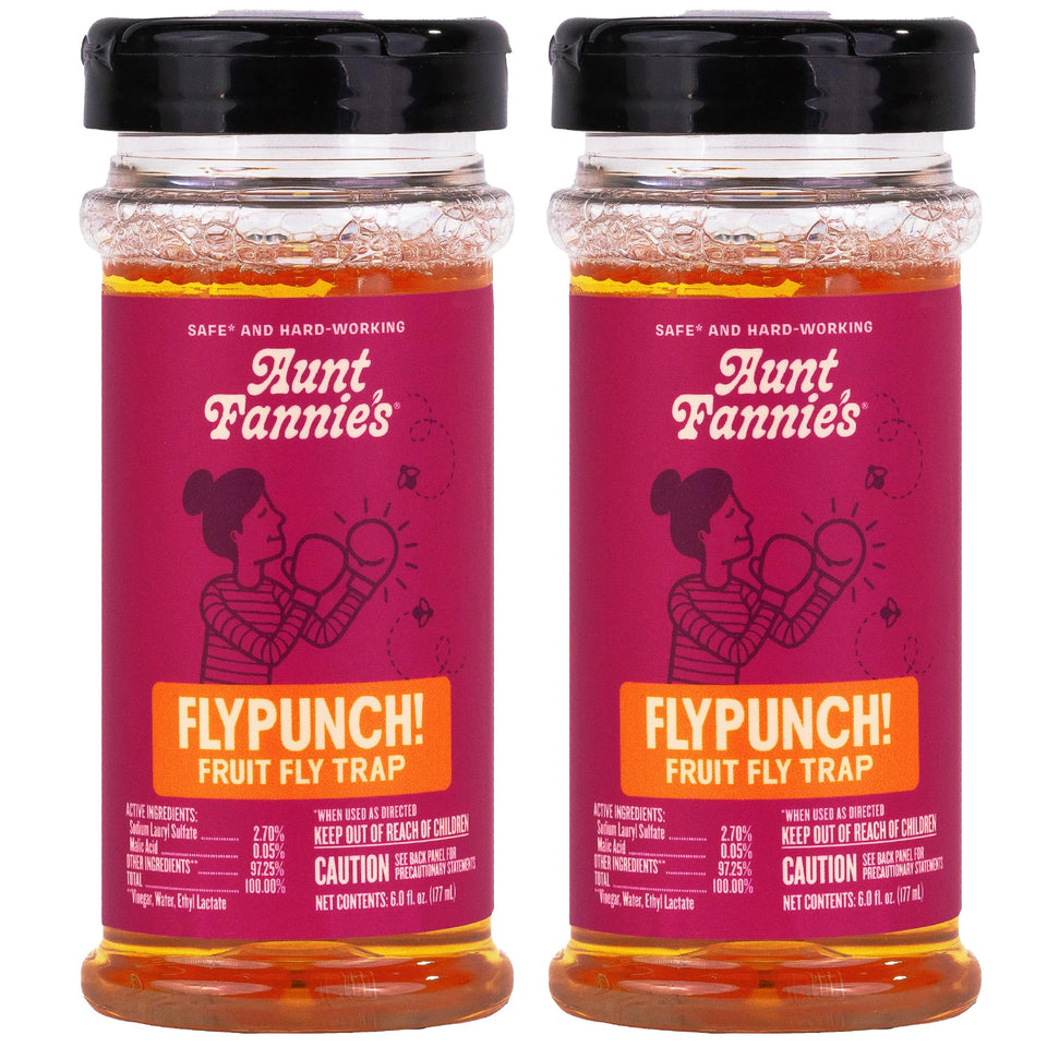 Aunt Fannie's FlyPunch trap ready-to-use in a kitchen to tackle fruit flies.