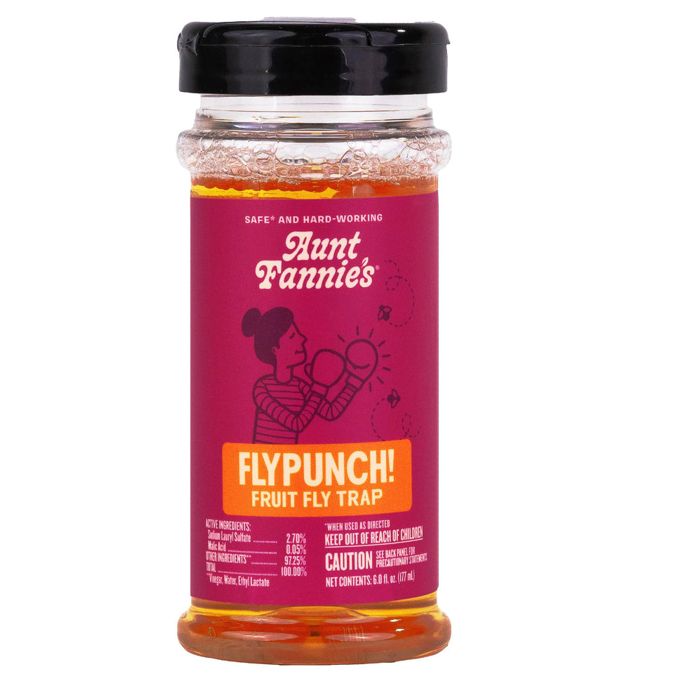 Aunt Fannie's FlyPunch trap with flip-top lid ready for quick, mess-free setup in the kitchen.