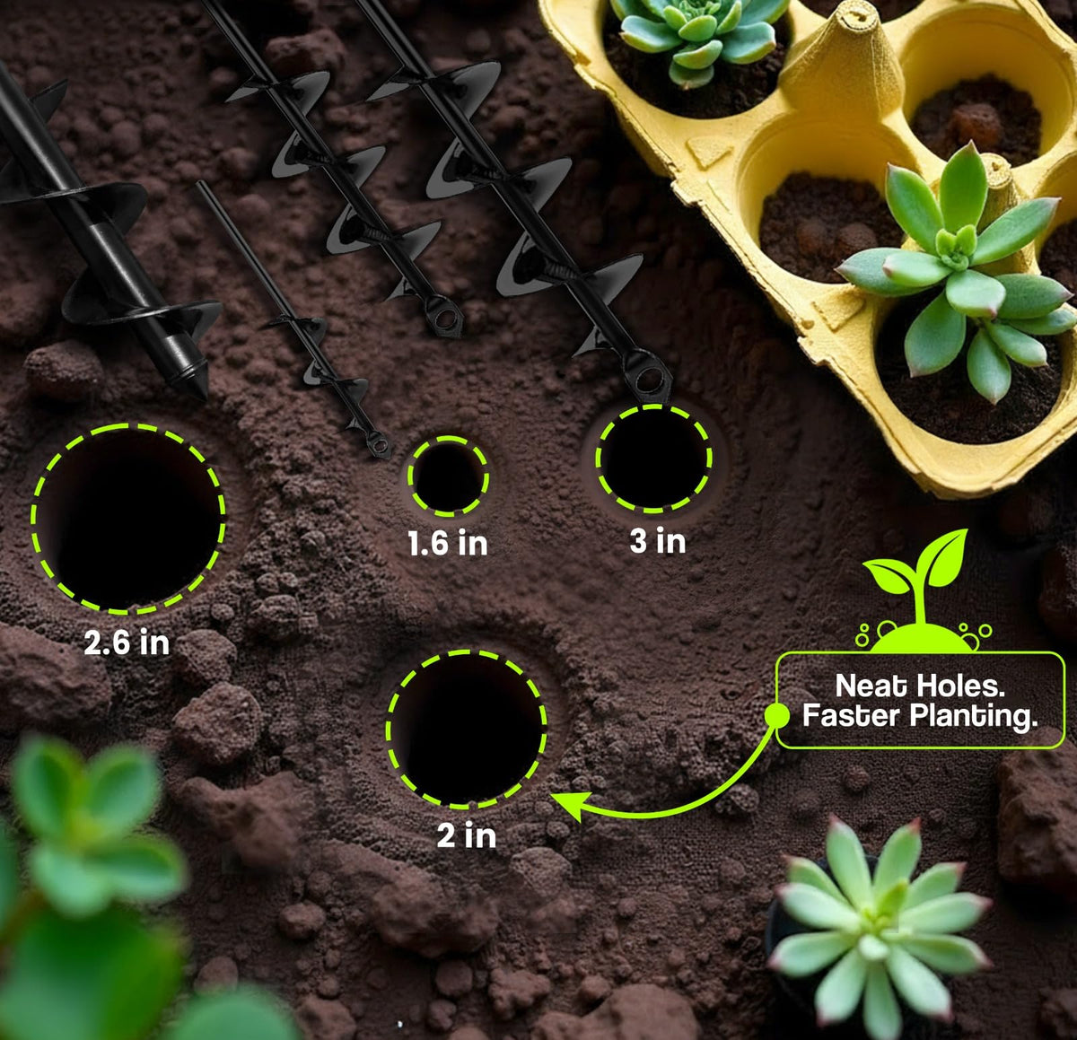 Multi-use garden tool for bulbs, bedding plants, and seedlings.