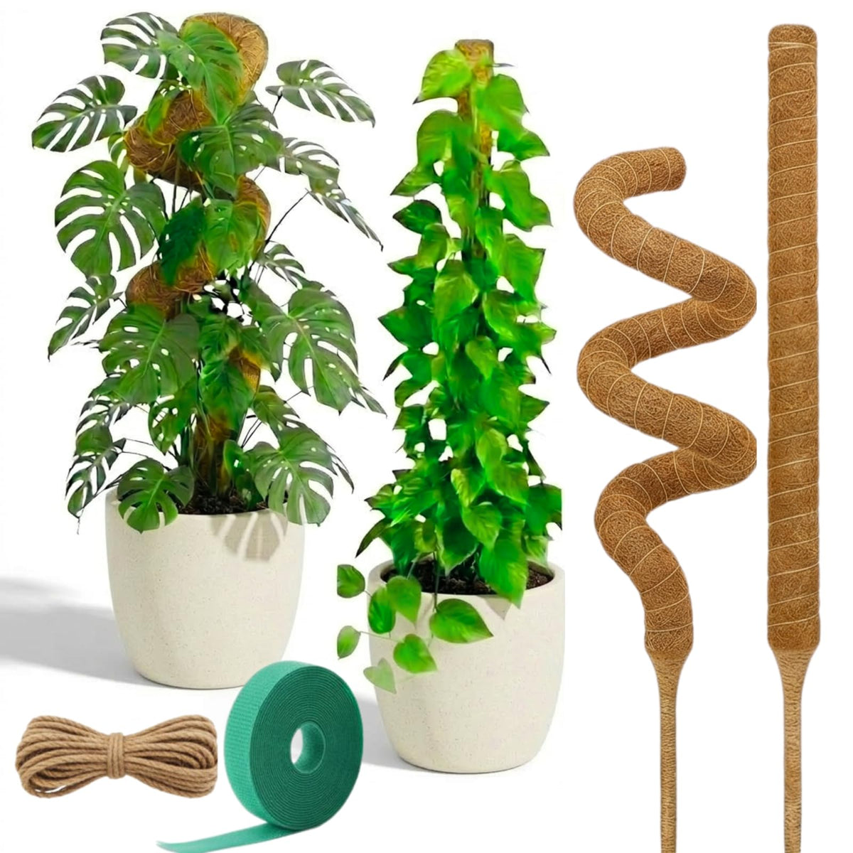 Auraville bendable moss pole 28-inch Monstera for sturdy climbing support and healthier growth.