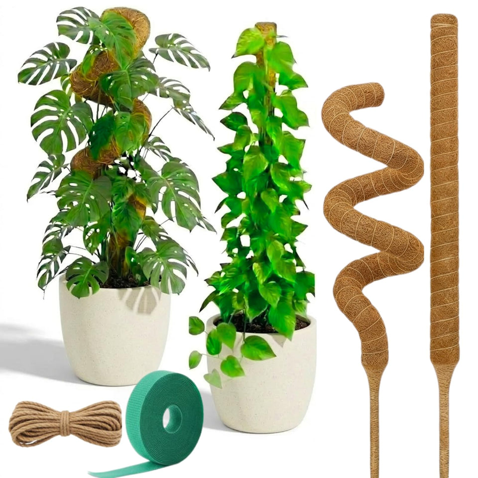 Auraville bendable moss pole 28-inch Monstera for sturdy climbing support and healthier growth.