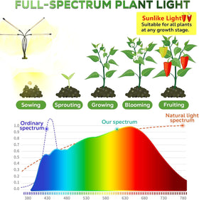 AURAZIGLI LED Grow Lights illuminate plants overhead for even light distribution.