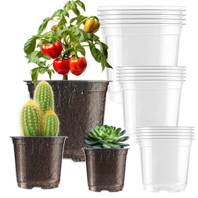 Auriikoop Clear Nursery Pots 5-inch transparent walls for easy root observation.