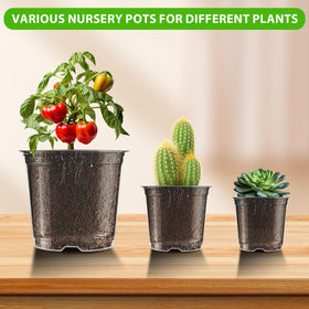 Auriikoop Clear Nursery Pots reusable PP material for multiple seasons.