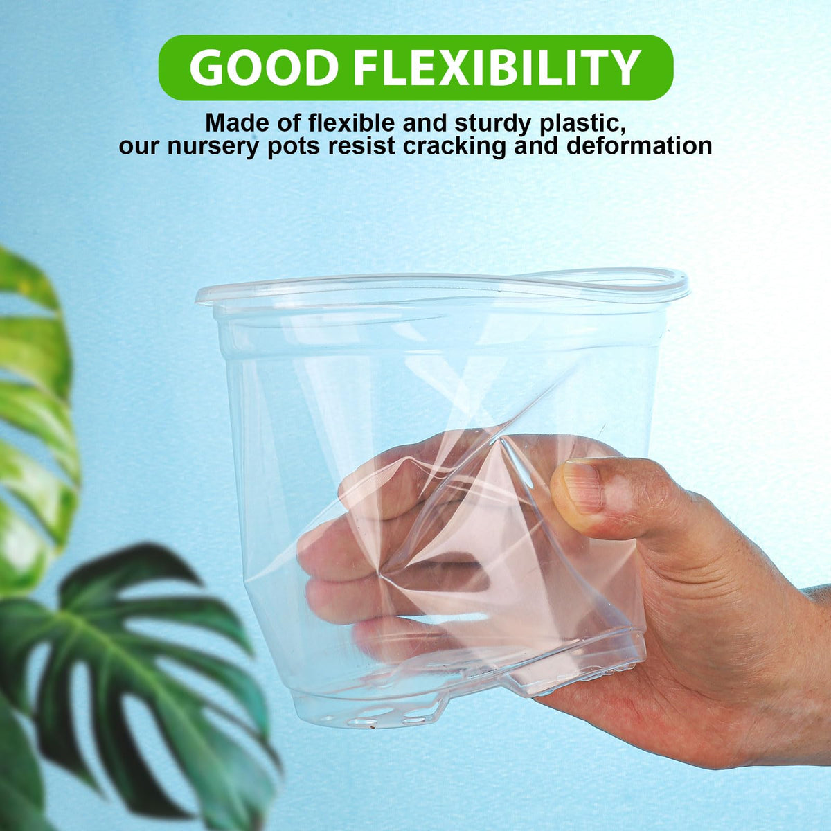 Auriikoop Clear Nursery Pots transplant-ready for smooth pot-to-pot transfers.