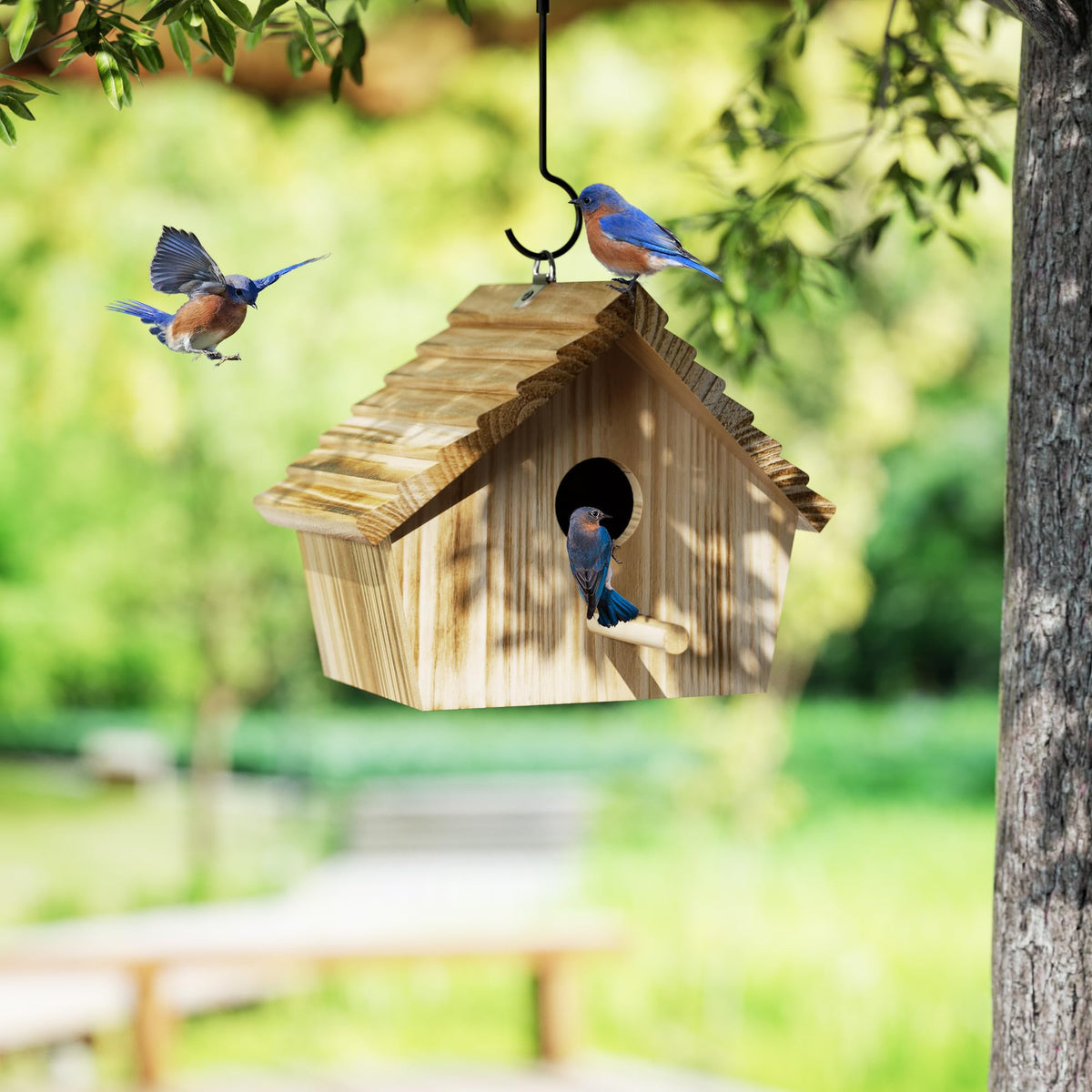 Closeup of Auslar cedar Bird House wood quality for long outdoor use