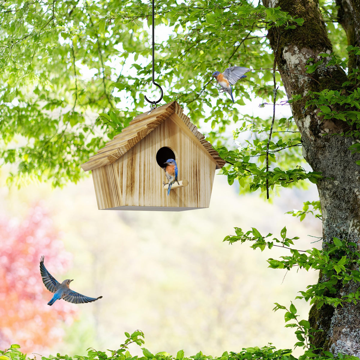 Back-door swivel on Auslar Bird House for easy maintenance