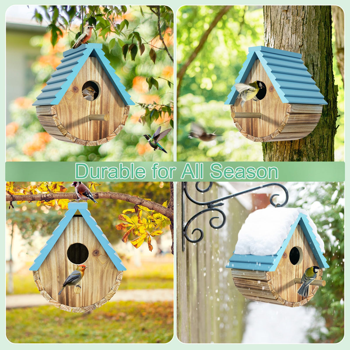 Auslar Bird House design deters larger birds, helping protect eggs.