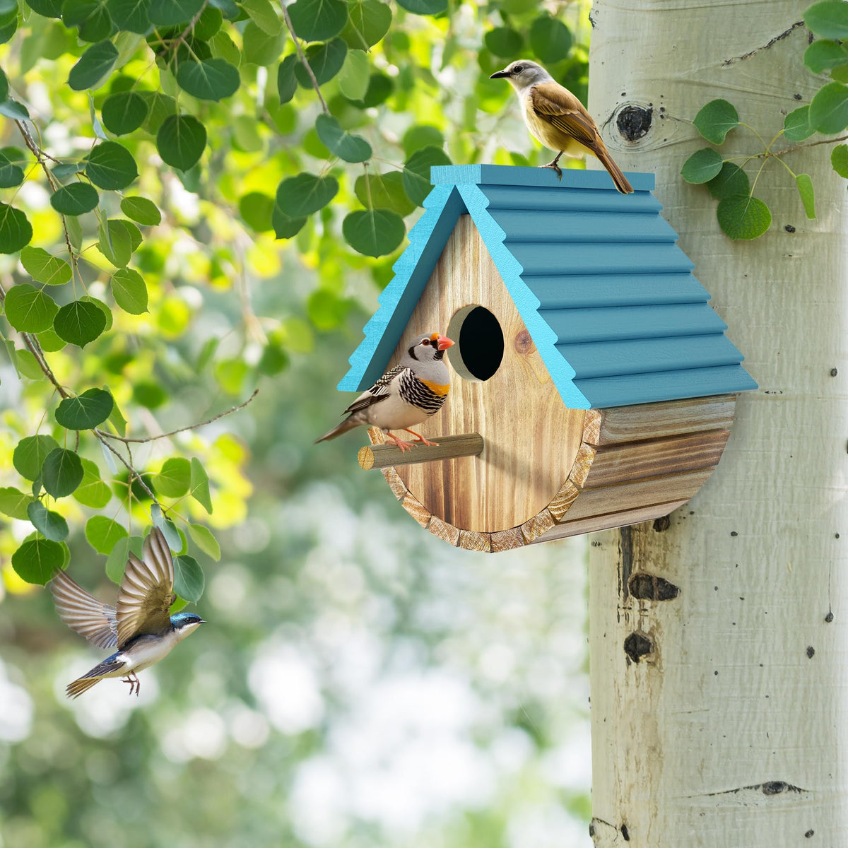 Auslar Bird House interior is easy to clean thanks to the swivel door.