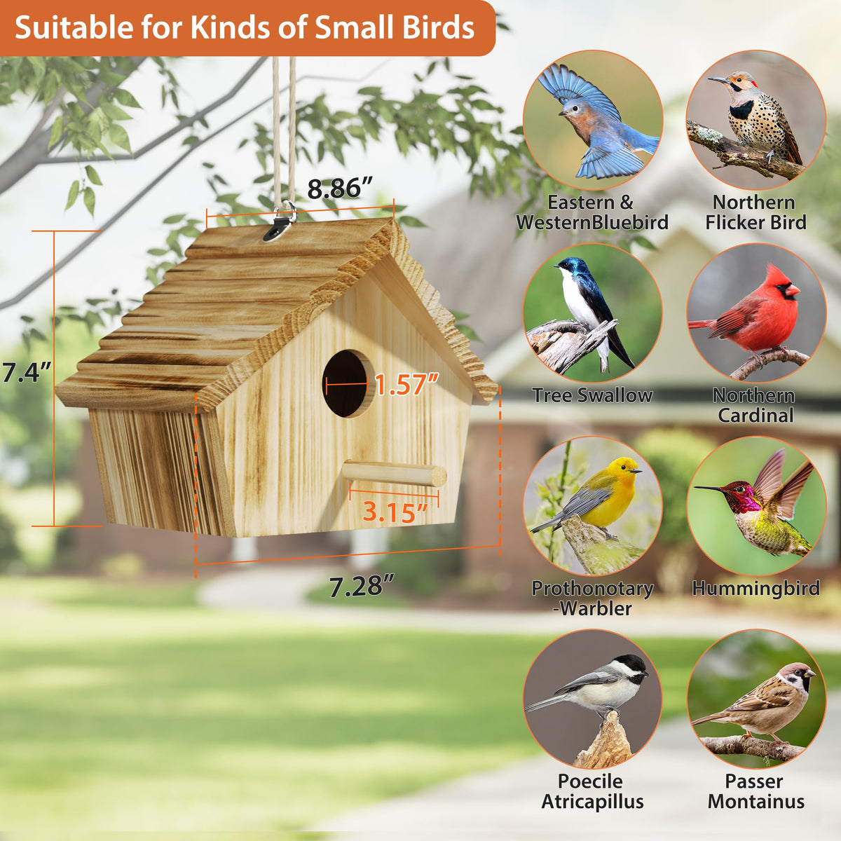 Sturdy hanging hook on Auslar Bird House for easy installation