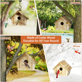 Auslar Bird House mounted in a garden setting for viewing
