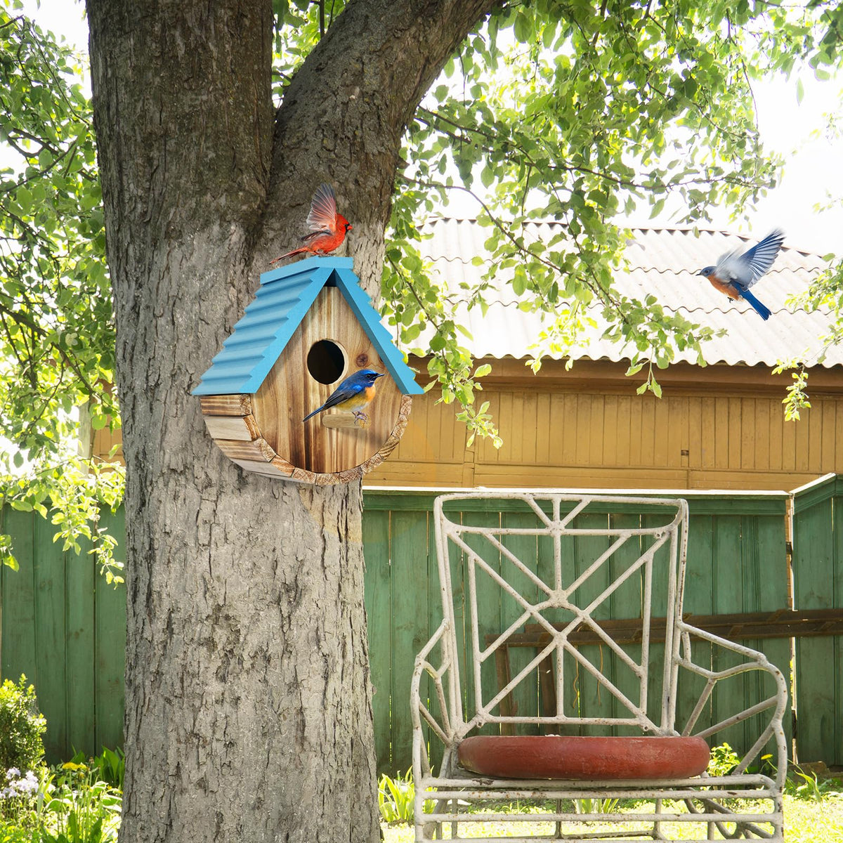 Auslar Bird House swivel back door enables easy cleaning and ventilation.