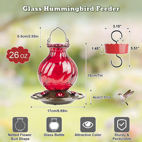Auslar hummingbird feeder features bee guard to deter bees
