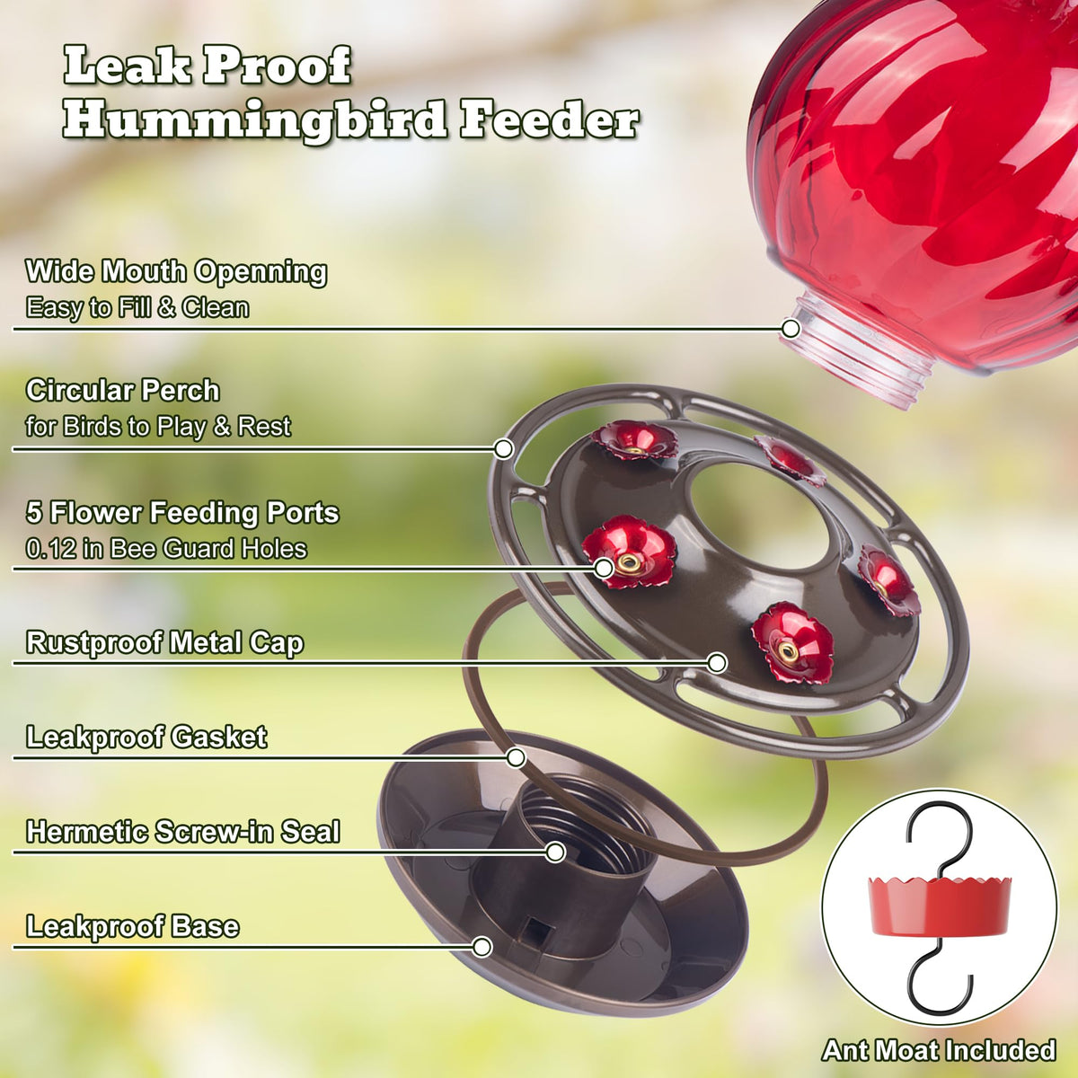 Auslar hummingbird feeder showcases five red flower ports