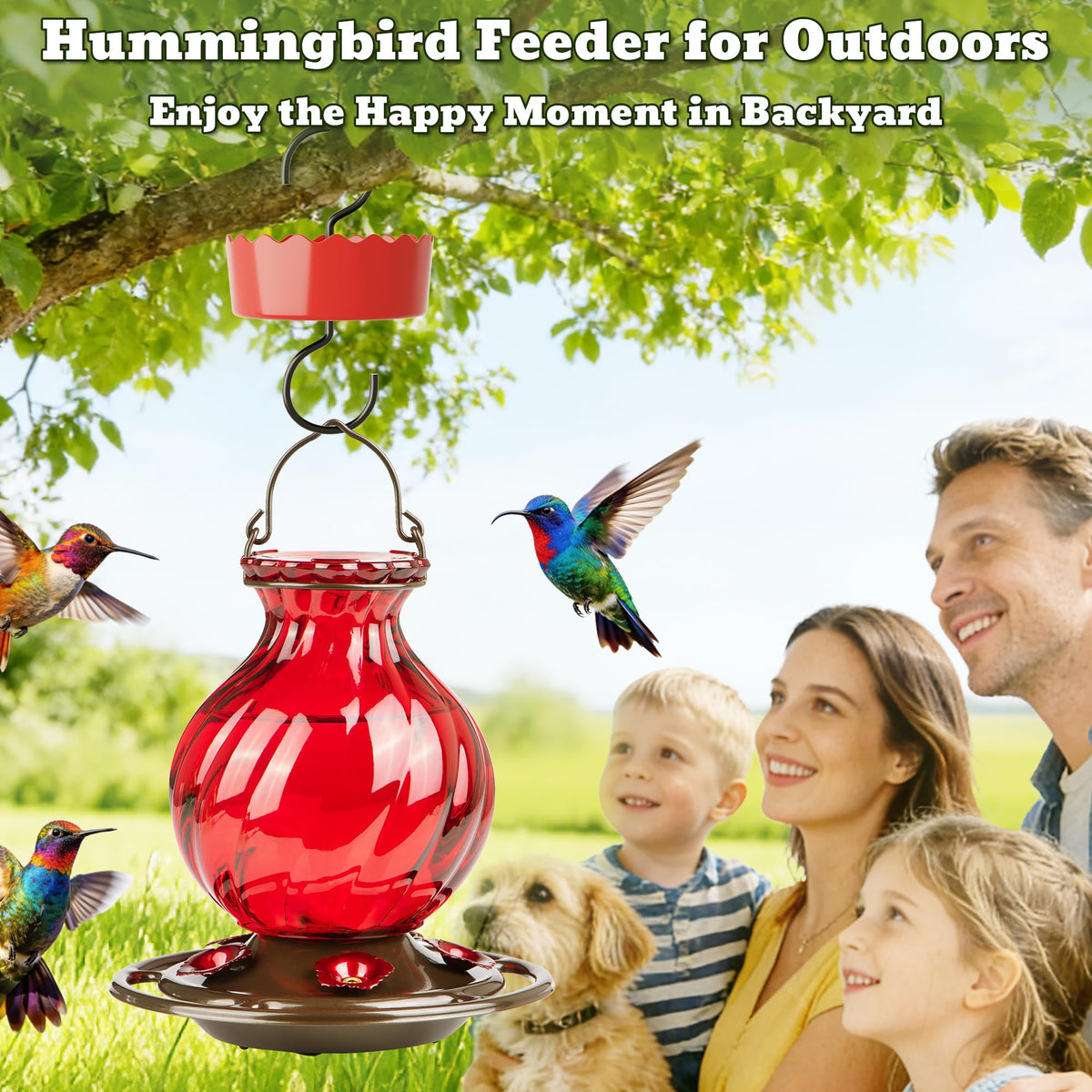 Auslar hummingbird feeder translucent bottle allows quick nectar checks
