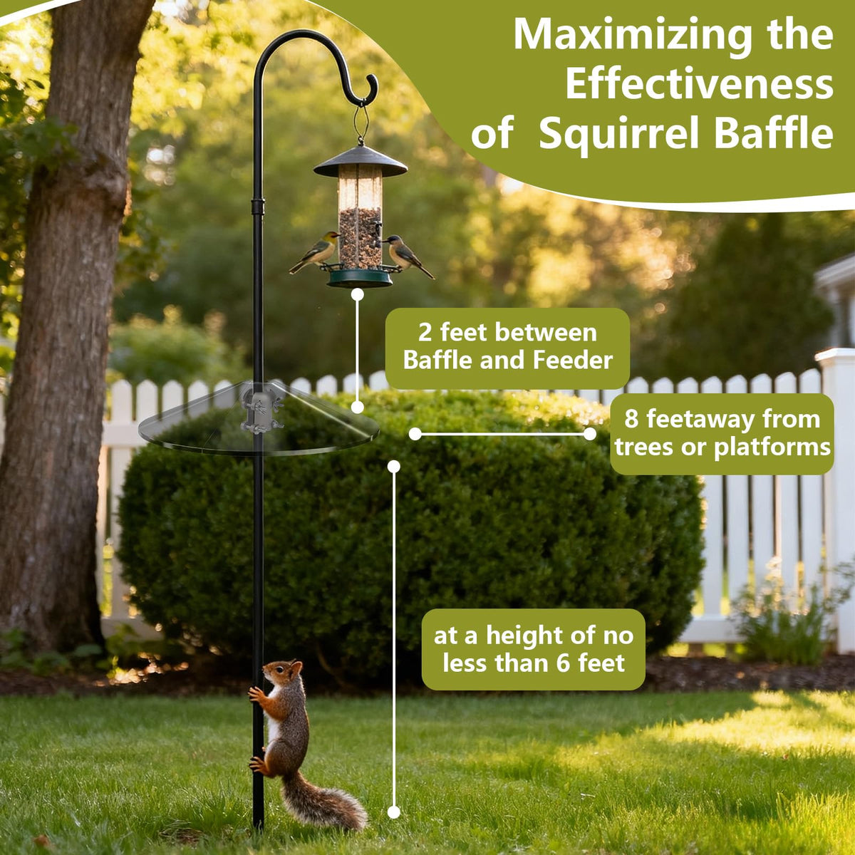 Outdoor bird feeder accessory helps keep feeding stations pest free.