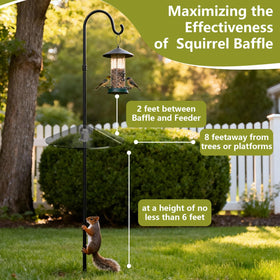 Outdoor bird feeder accessory helps keep feeding stations pest free.