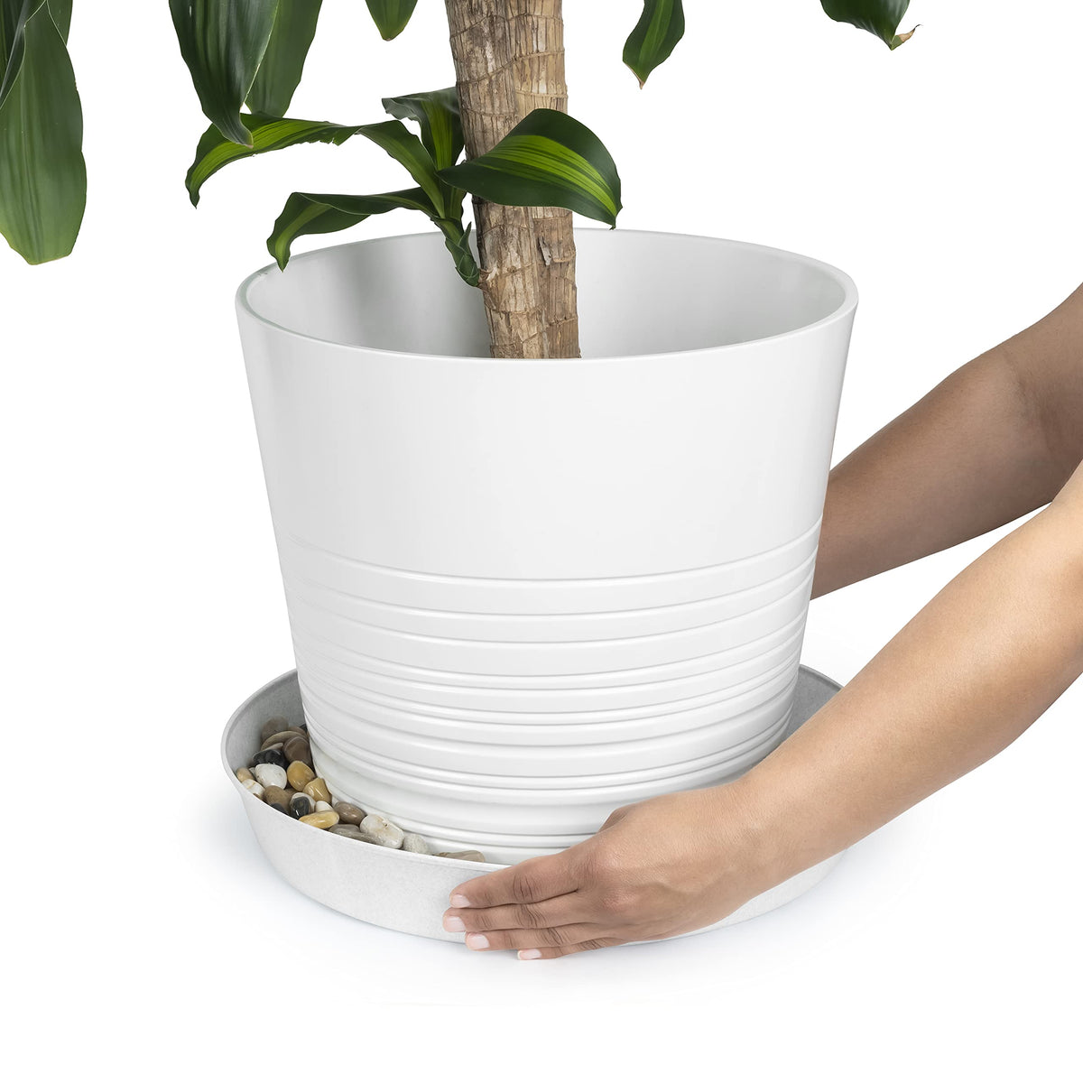 Austin Planter 16-inch saucer 2-pack demonstrates versatile use for pots and drainage