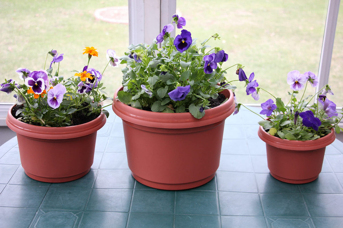 Bottom drainage holes on the Austin Planter prevent water buildup and root issues.