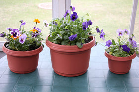Bottom drainage holes on the Austin Planter prevent water buildup and root issues.