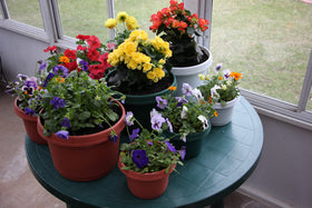 Austin Planter made from eco friendly recycled polypropylene, durable and lightweight.