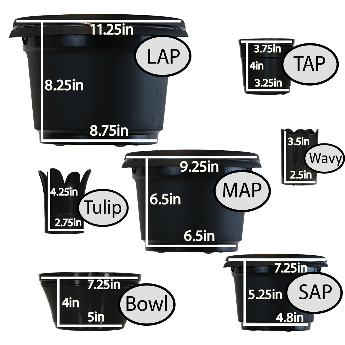 Austin Planter is easy to clean and reusable for ongoing planting.
